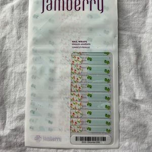 Jamberry Juniors Kids Nail Wraps Dinosaur